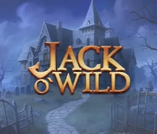 jack o wild